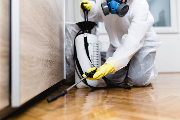 Best Ant Control Services  in Bull Shoals, AR
