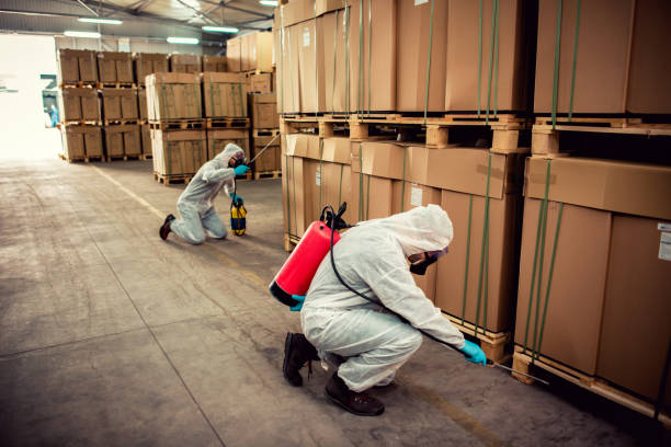 Best Emergency Pest Control  in Bull Shoals, AR