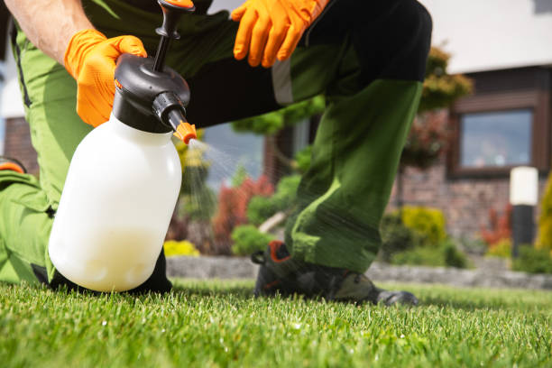 Best Pest Removal Services  in Bull Shoals, AR