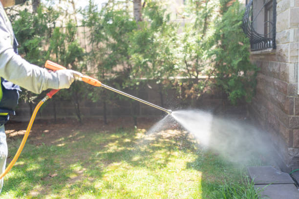 Best Mosquito Control Services  in Bull Shoals, AR