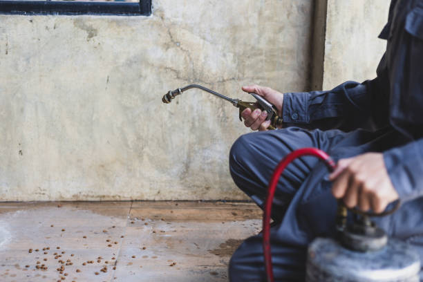 Best Pest Control Treatment  in Bull Shoals, AR