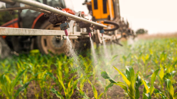 Best Pest Inspection Near Me  in Bull Shoals, AR